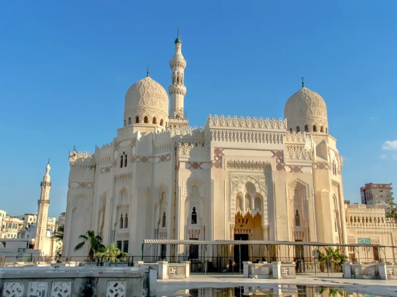 Alexandria & Mediterranean Experiences