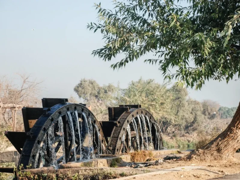 Desert & Cultural Experiences